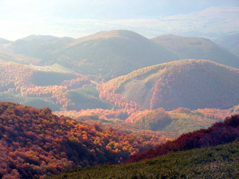 Autumn Hills Landscape — Orange, Serene