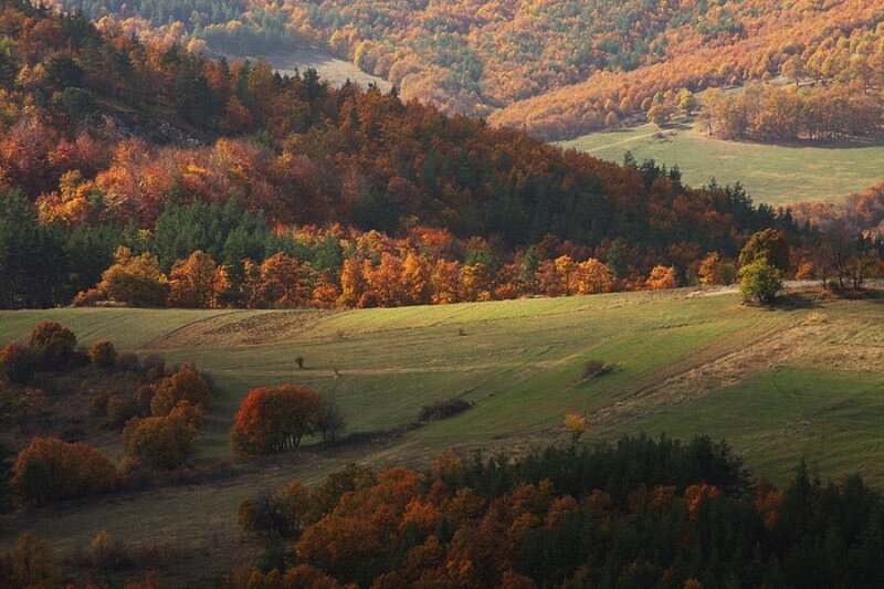 Autumn Hills Landscape — Orange