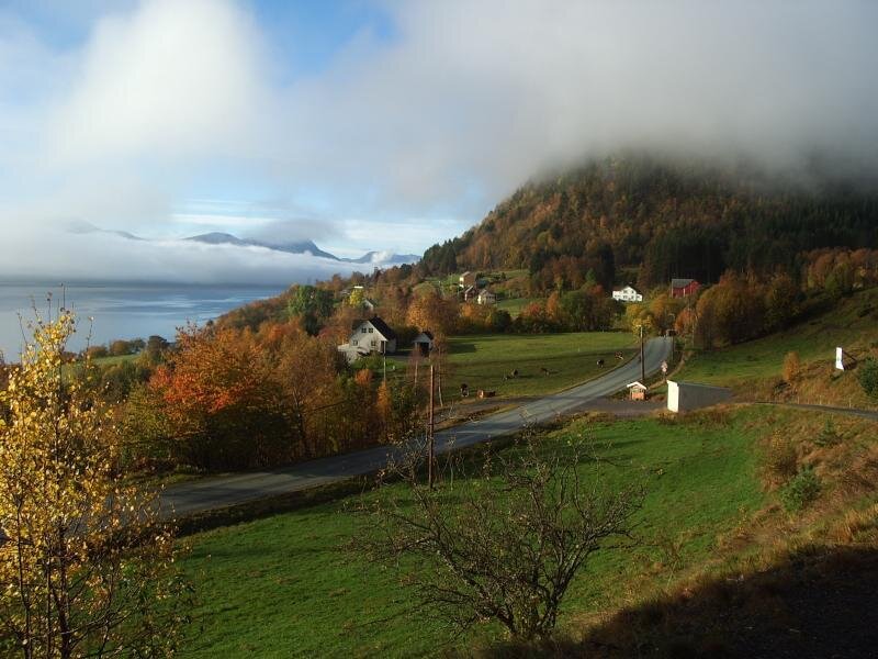 Autumn hills overlooking a fjord