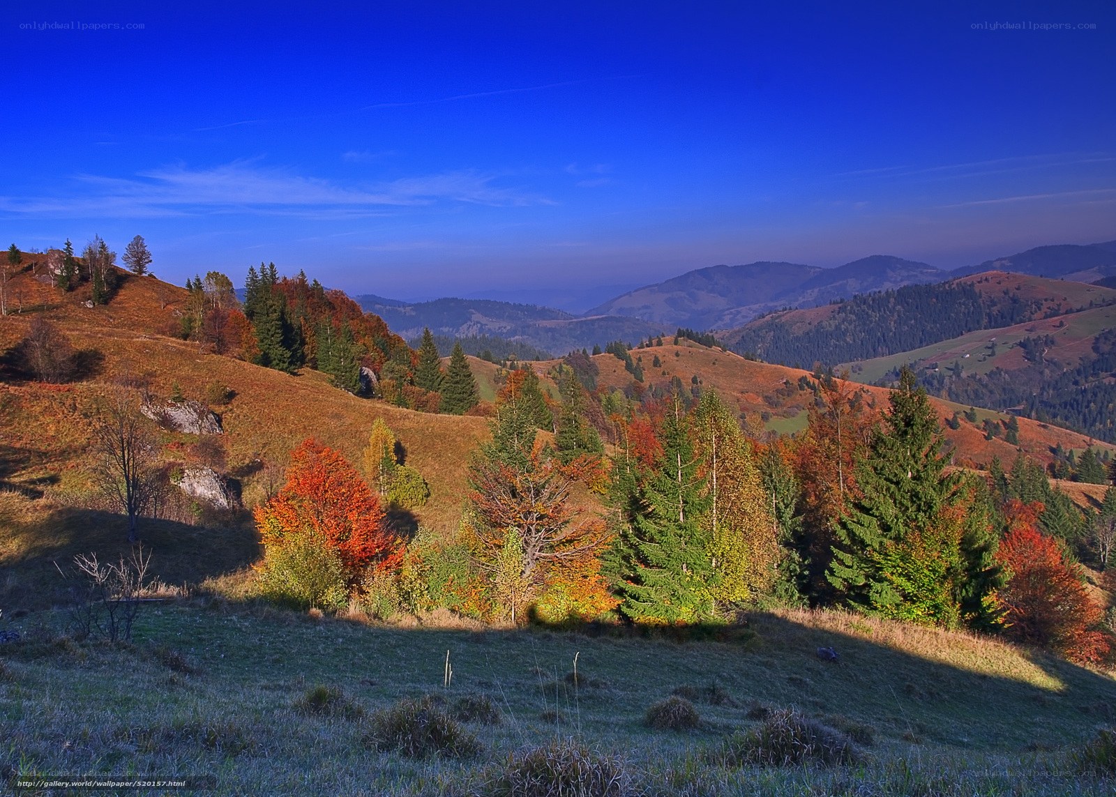Autumn hills under blue sky