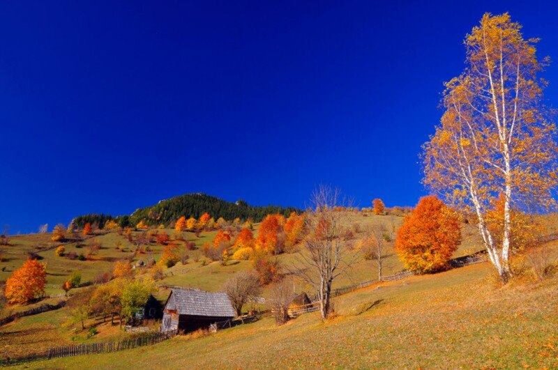 Autumn Hills with Cabin — Blue