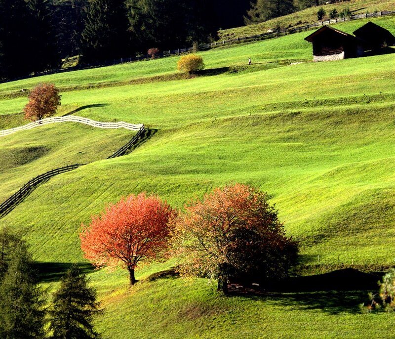 Autumn hills with colorful trees