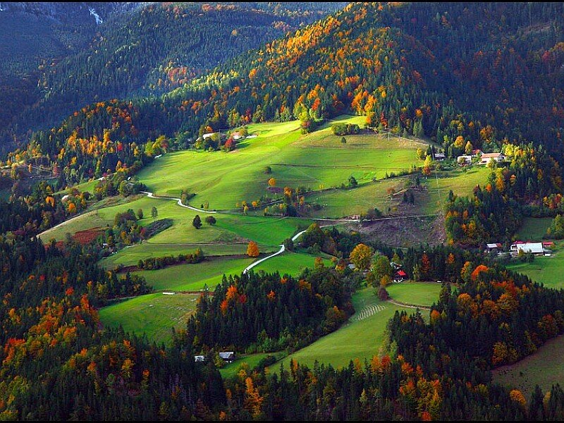 Autumn hills with colorful trees
