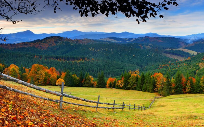 Autumn Hills with Fence — Green