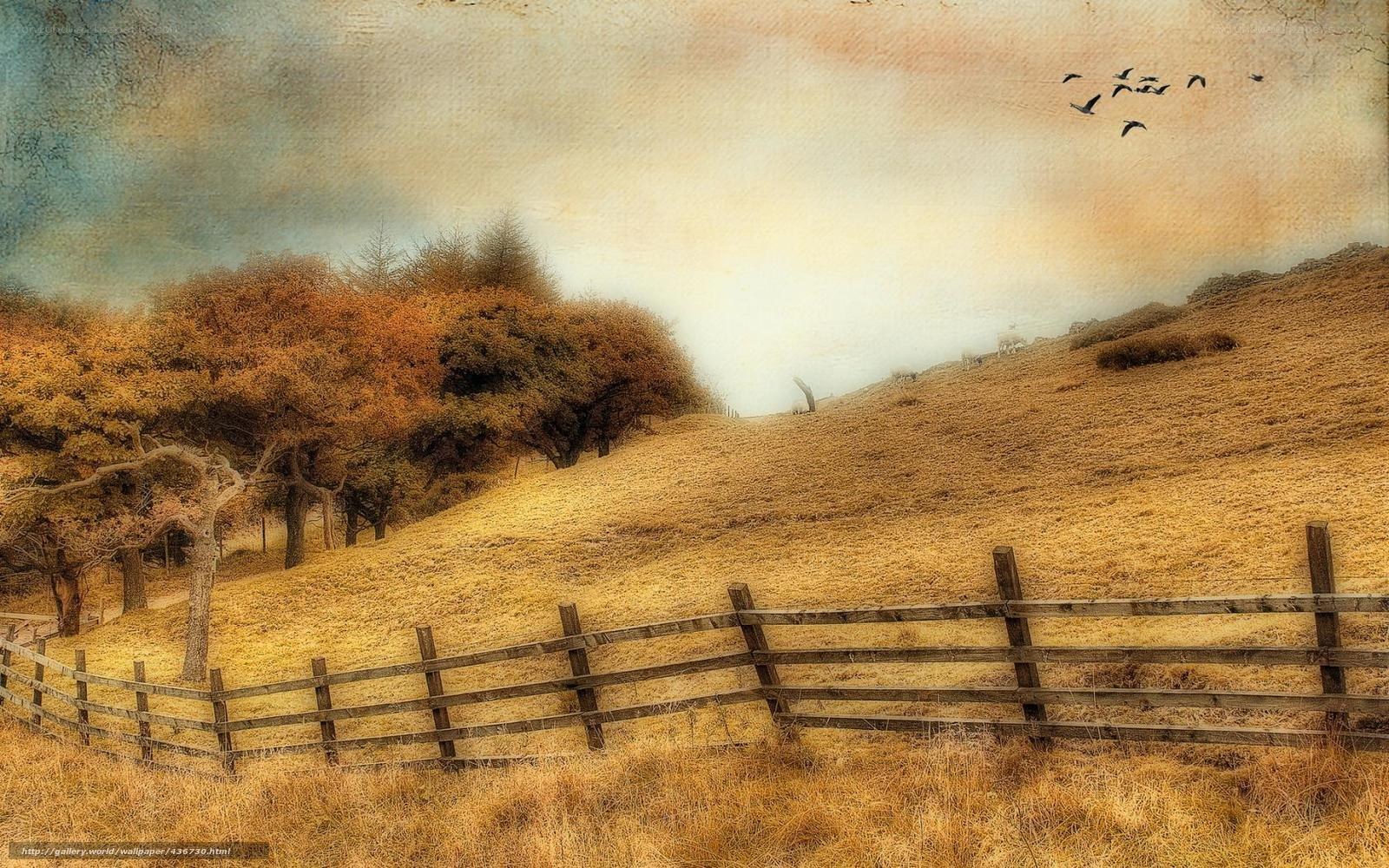 Autumn hills with fence