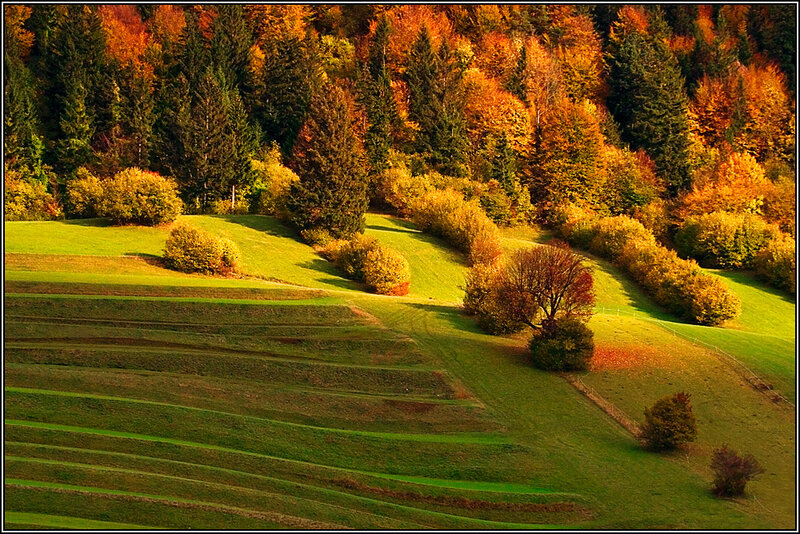 Autumn Hills with Fields