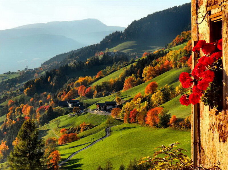 Autumn Hills with Flowers