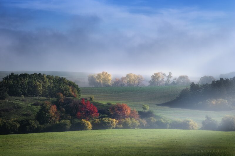 Autumn Hills with Fog — Green, Serene