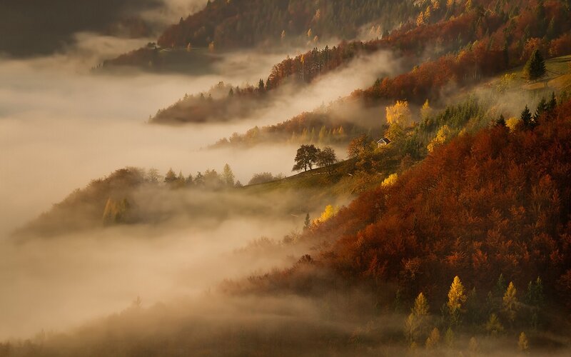 Autumn Hills with Fog — Orange, Serene, Morning, Photograph