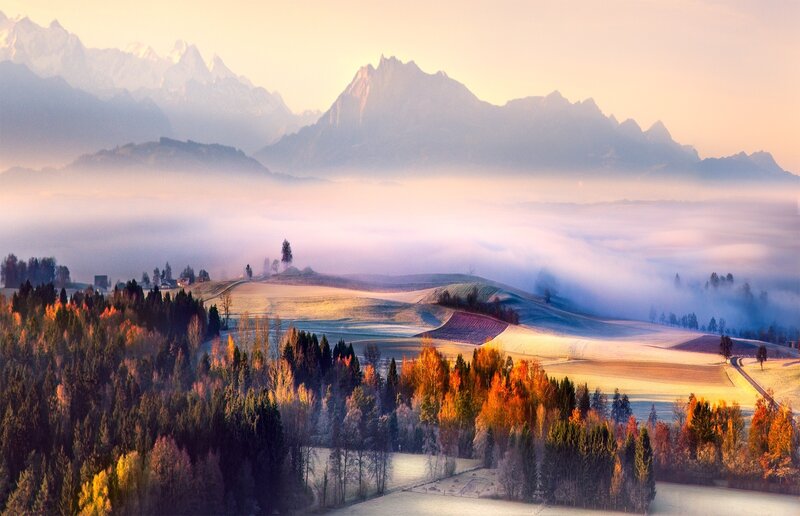 Autumn Hills with Fog — Orange, Serene, Morning