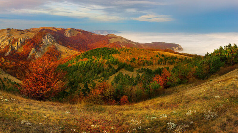 Autumn Hills with Fog — Orange, Serene
