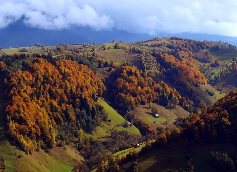 Autumn Hills with Forest