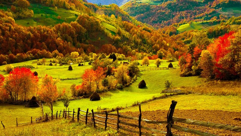 Autumn hills with hay bales