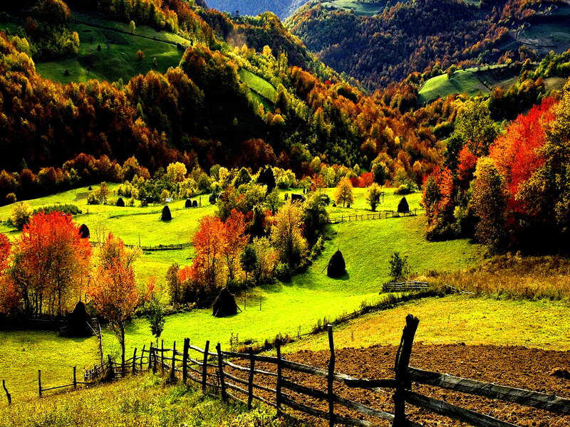 Autumn Hills with Hay Bales — Green, Serene, Photograph