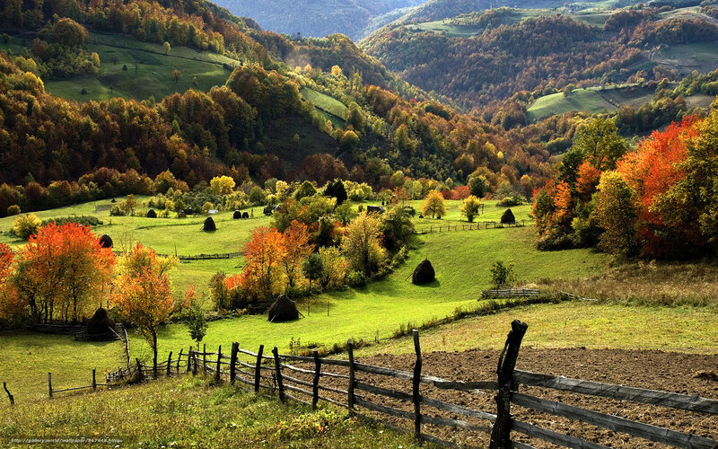 Autumn hills with hay bales