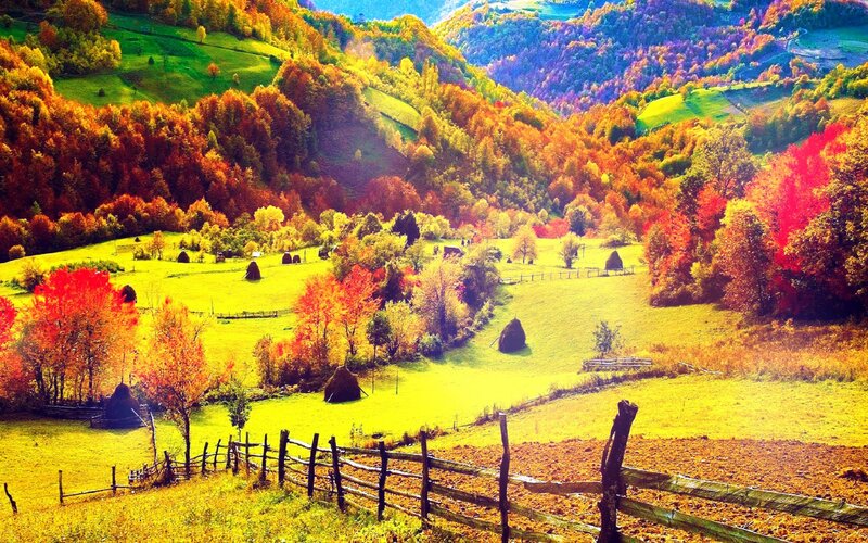 Autumn Hills with Hay Bales — Yellow