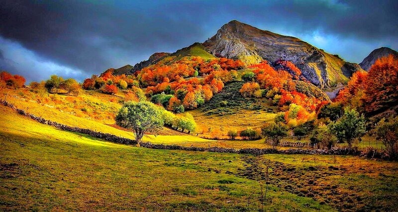 Autumn Hills with Mountain