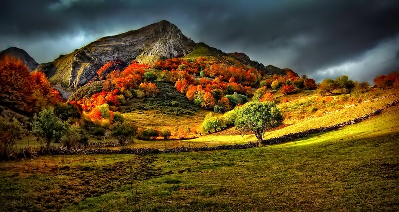 Autumn Hills with Mountains — Orange