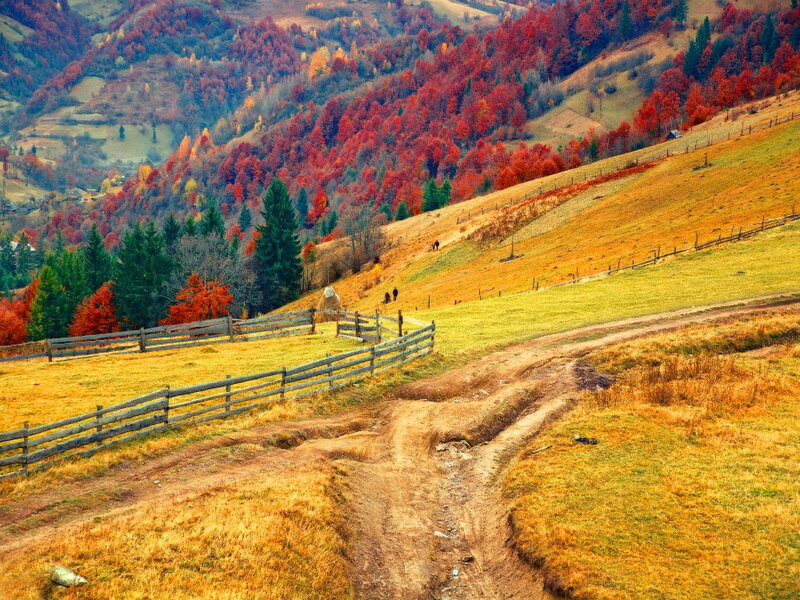Autumn Hills with Path