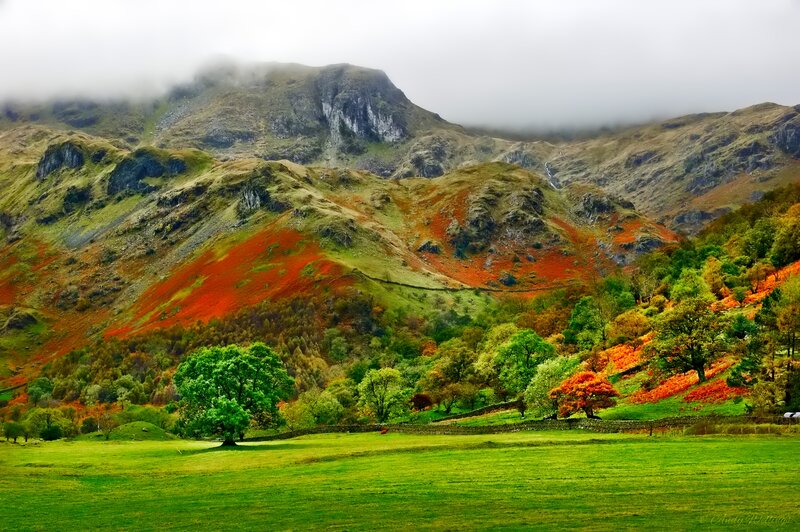 Autumn Hills with Red Foliage