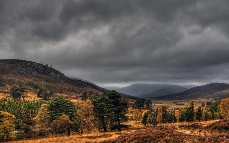 Autumn Hills with Trees — Brown