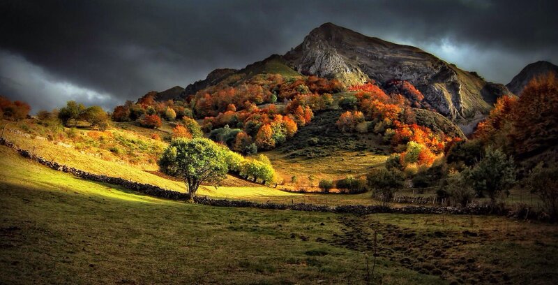 Autumn Hills with Trees — Green, Dramatic, Photograph