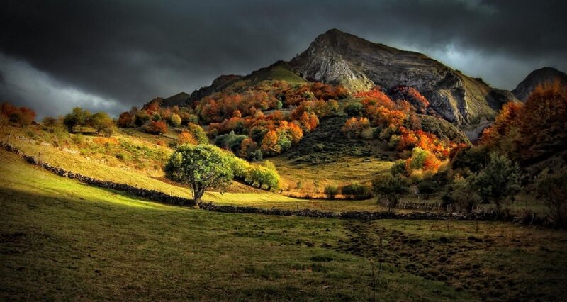 Autumn Hills with Trees — Green, Dramatic