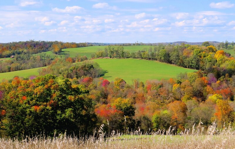 Autumn Hills with Trees — Green, Serene, Photograph, Fields