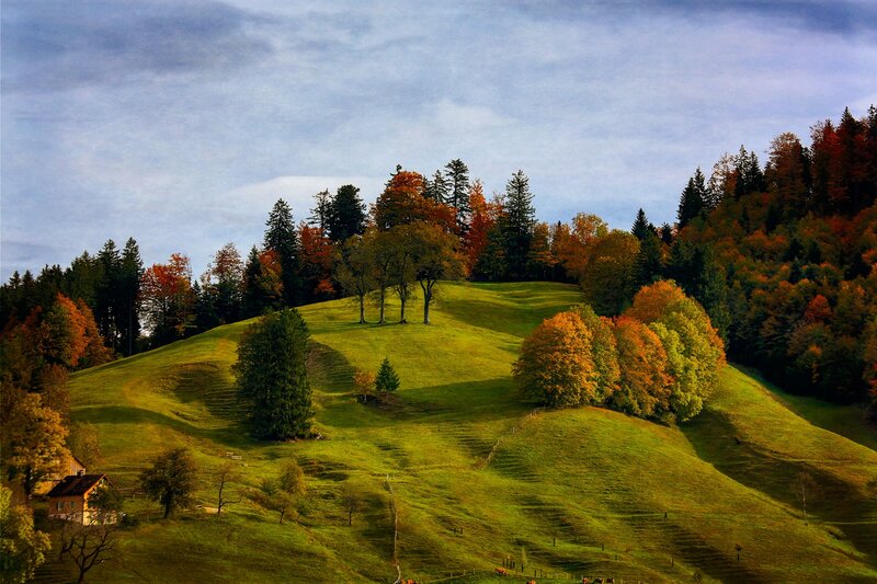 Autumn Hills with Trees — Green, Serene, Photograph, House