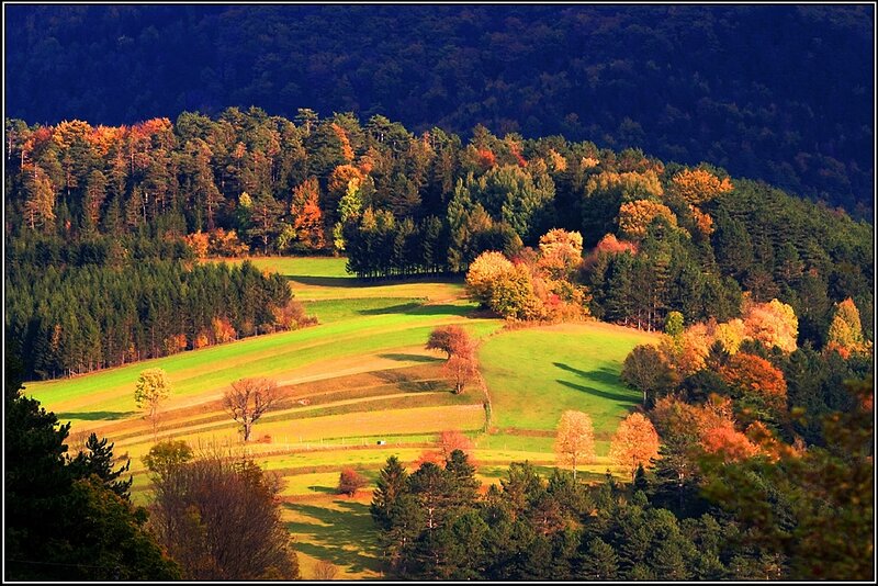Autumn Hills with Trees — Green, Serene