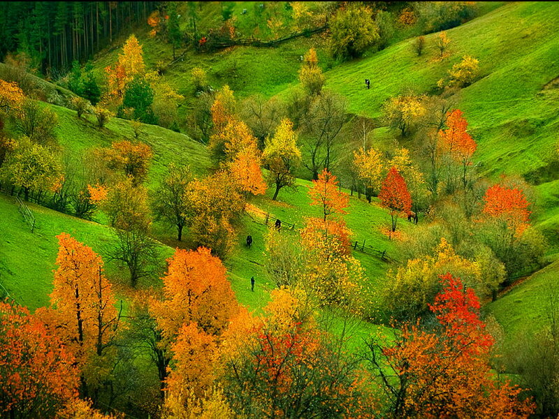 Autumn Hills with Trees — Green