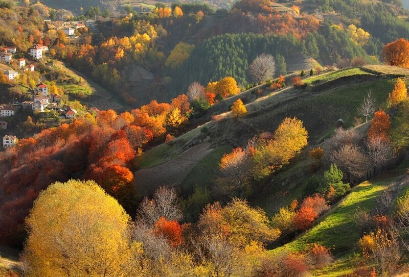 Autumn Hills with Village