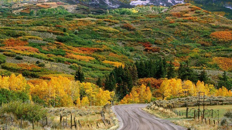 Autumn hills with winding road