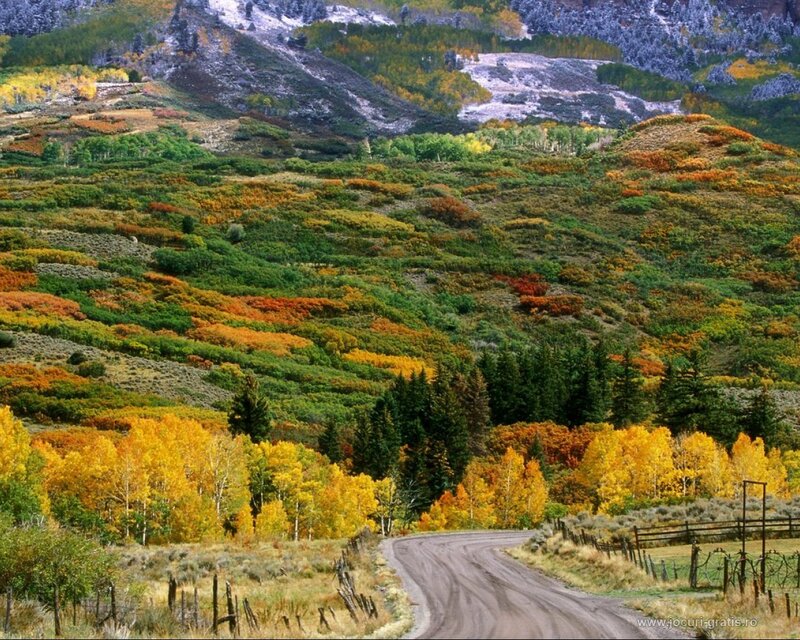 Autumn hills with winding road