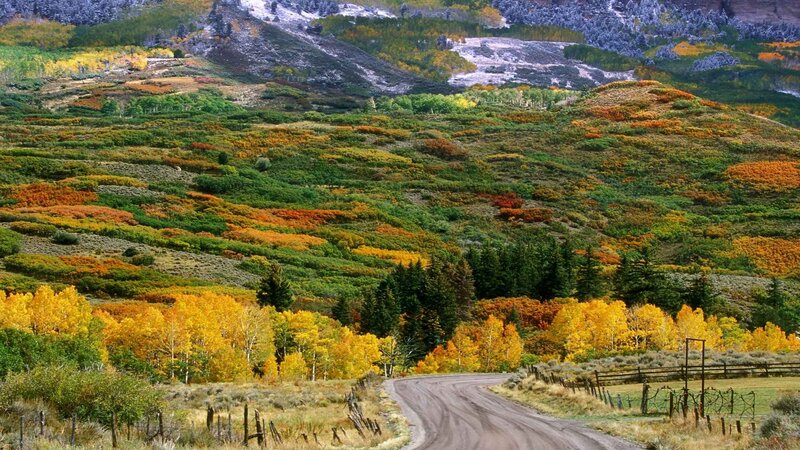 Autumn hills with winding road