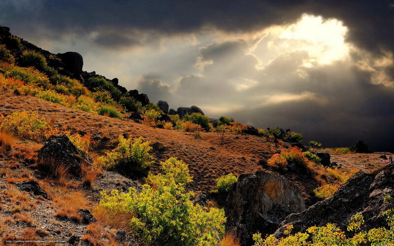 Autumn Hillside Landscape