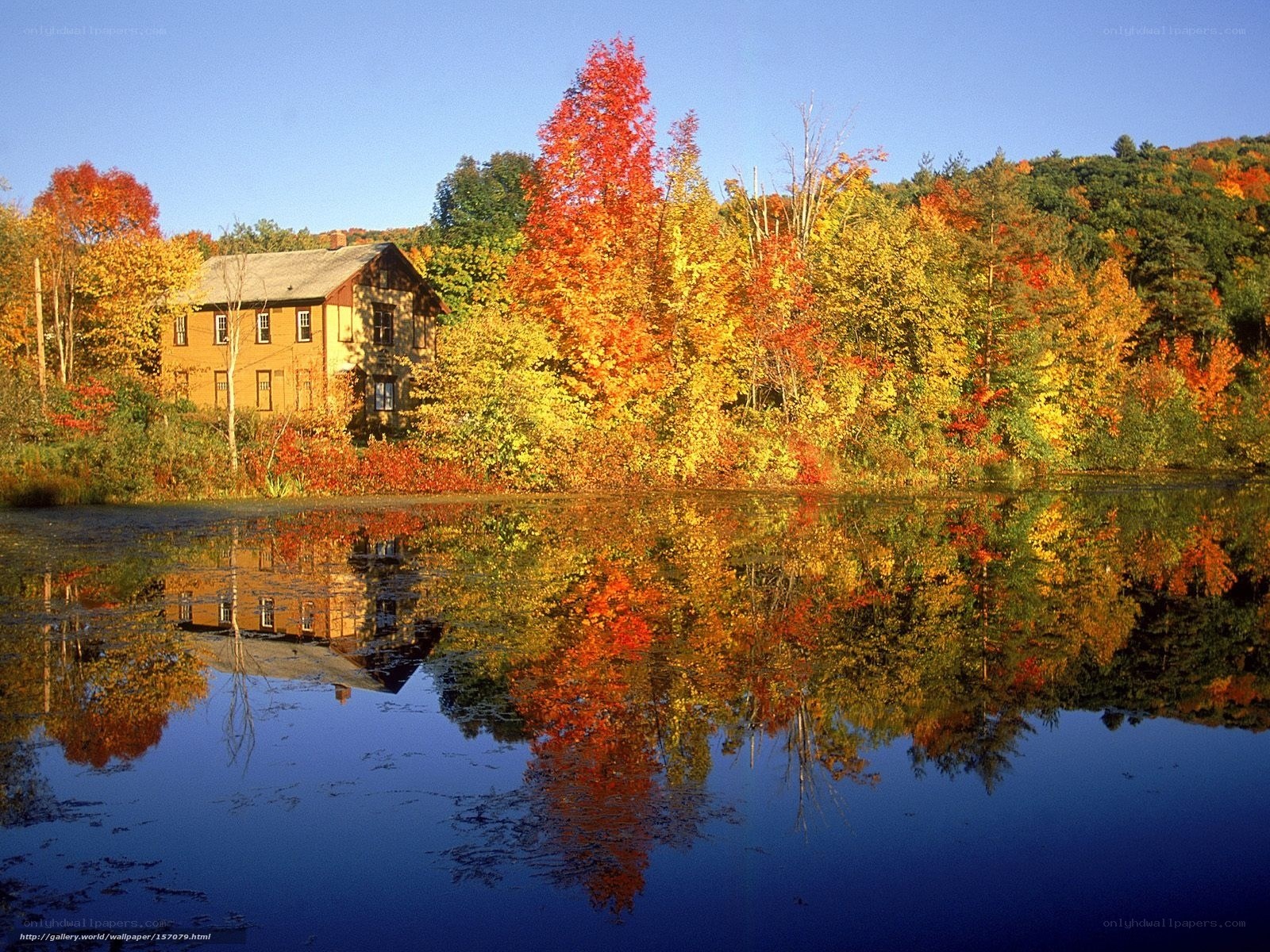 Autumn house by the lake