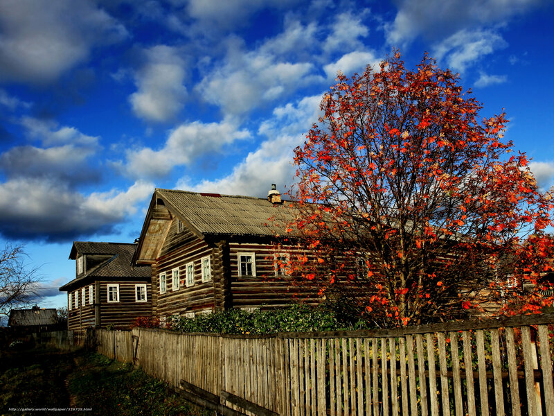 Autumn house with red tree