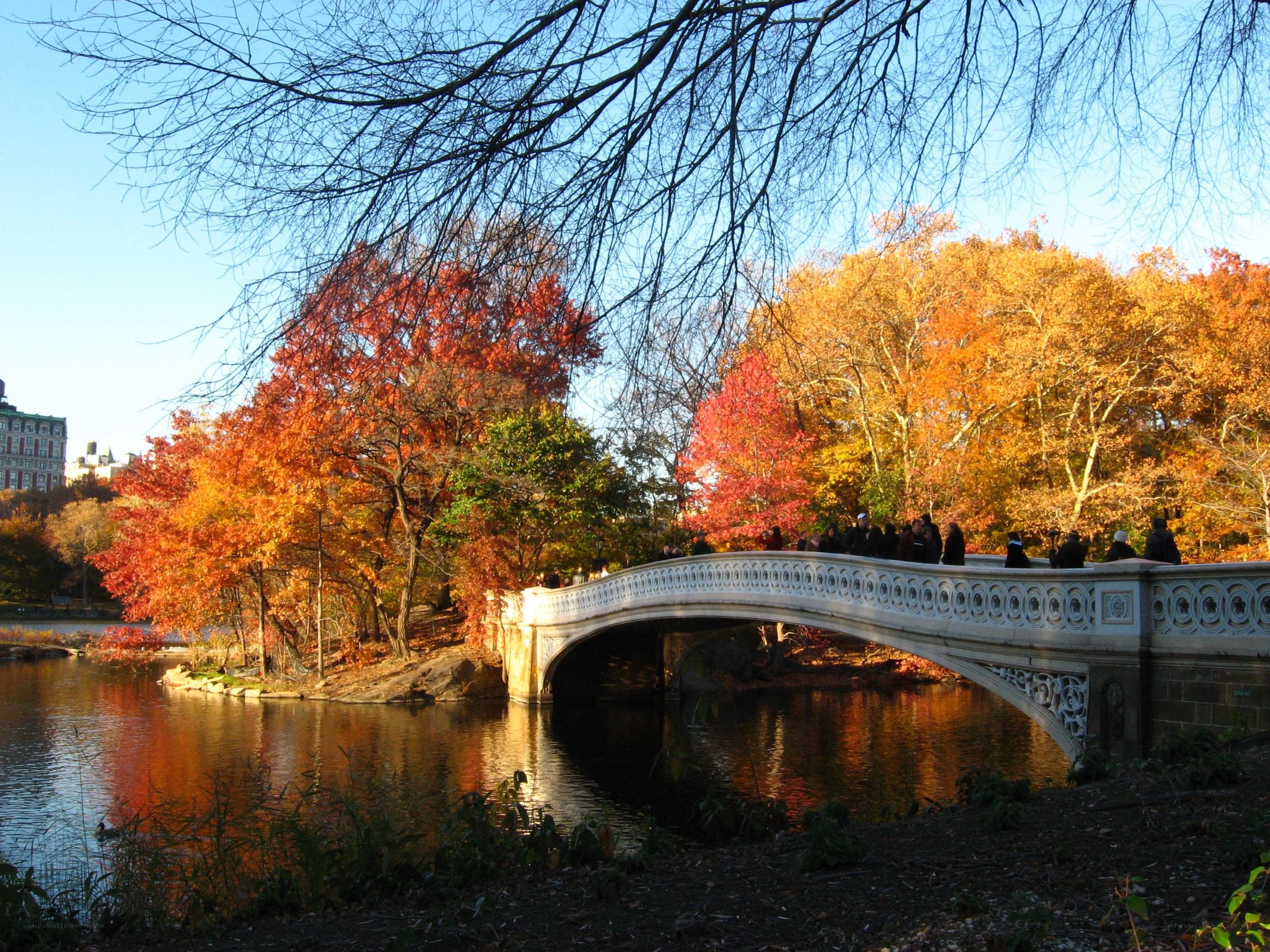 Autumn in Central Park