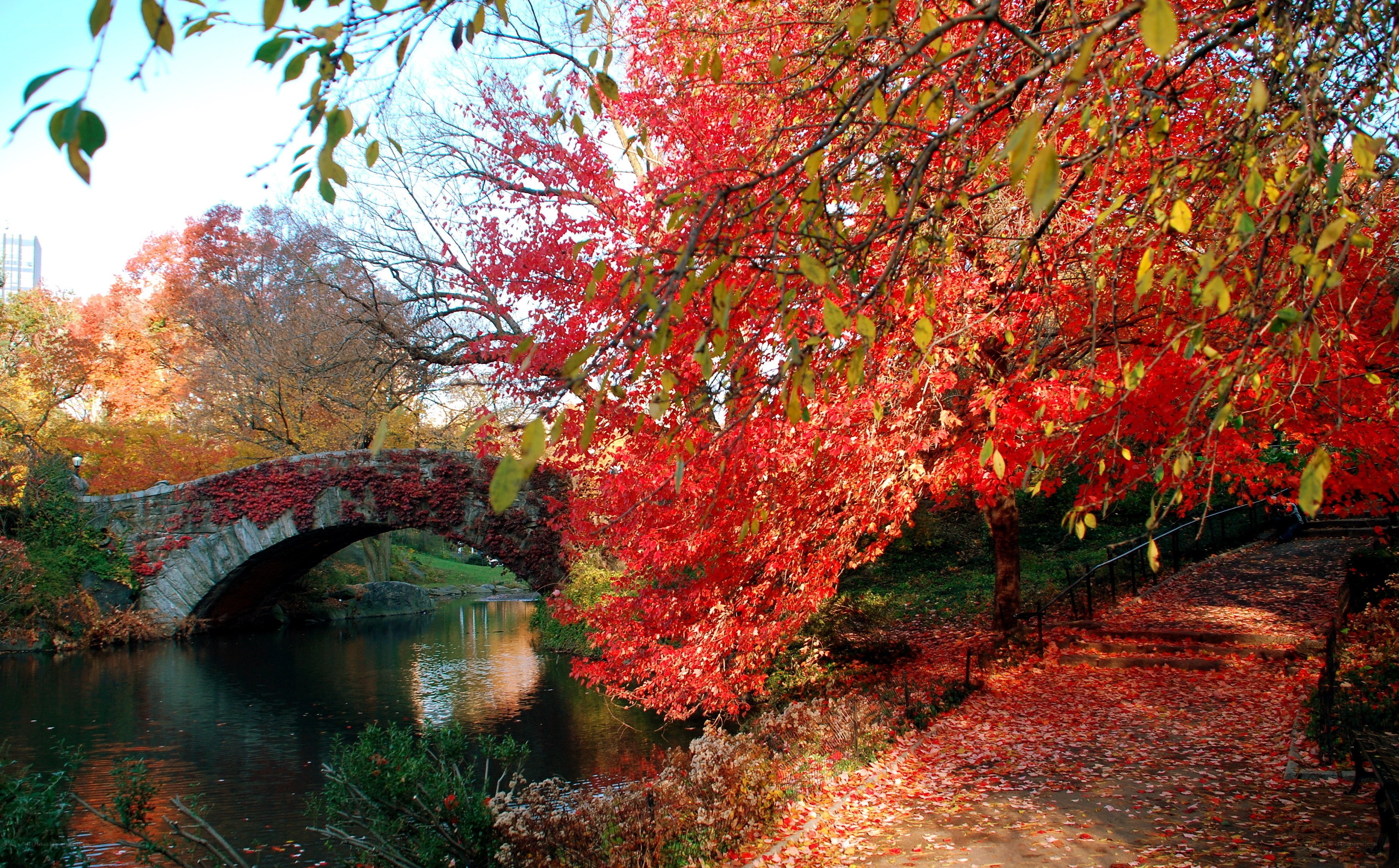 Autumn in Central Park