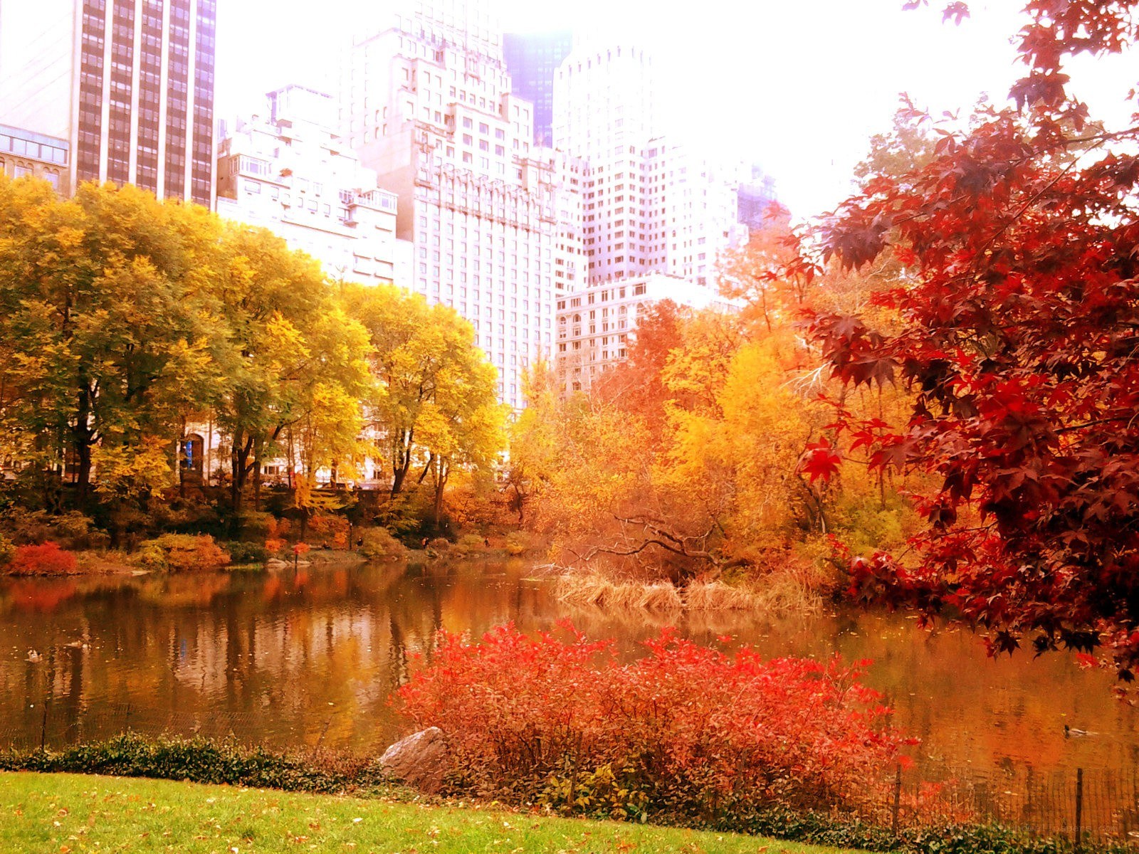 Autumn in Central Park