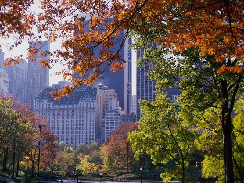Autumn in Central Park