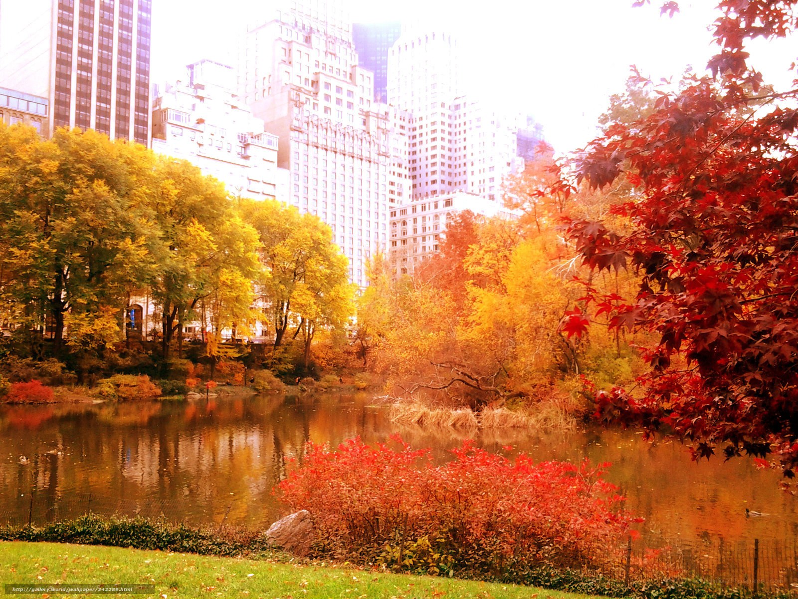 Autumn in Central Park