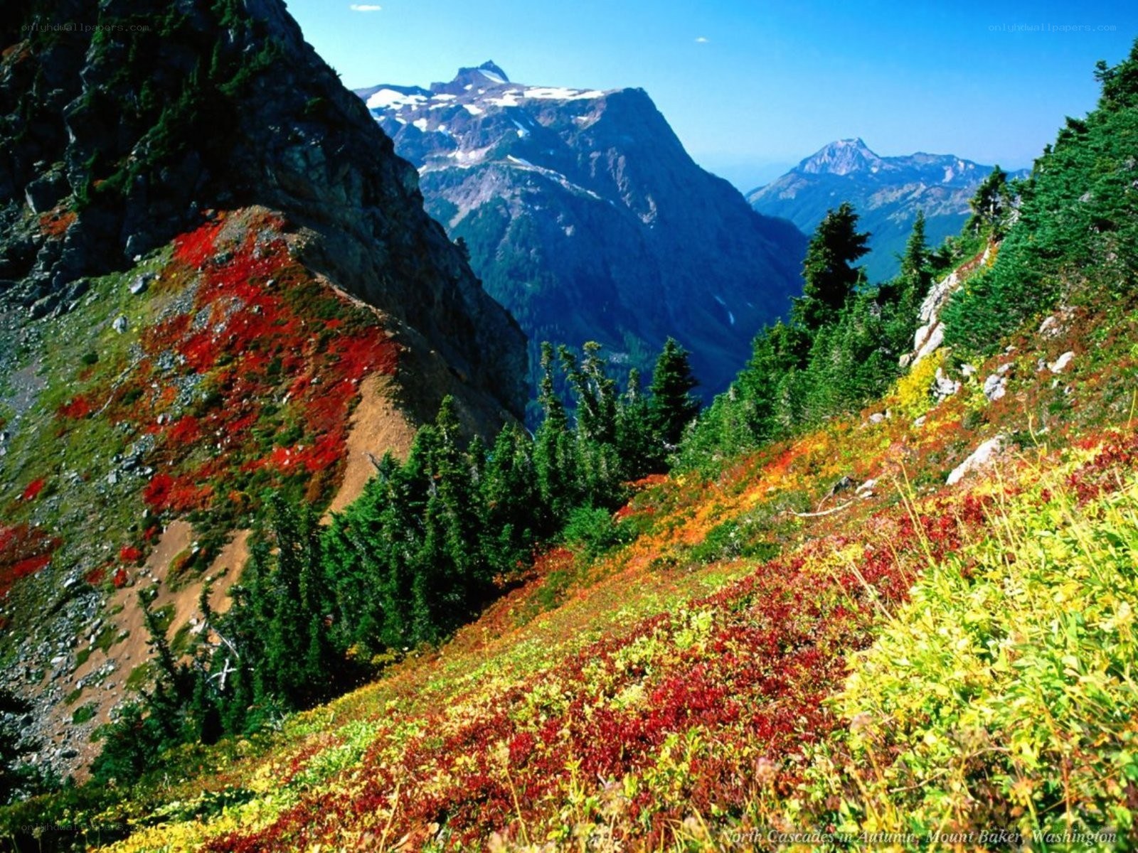 Autumn in the North Cascades