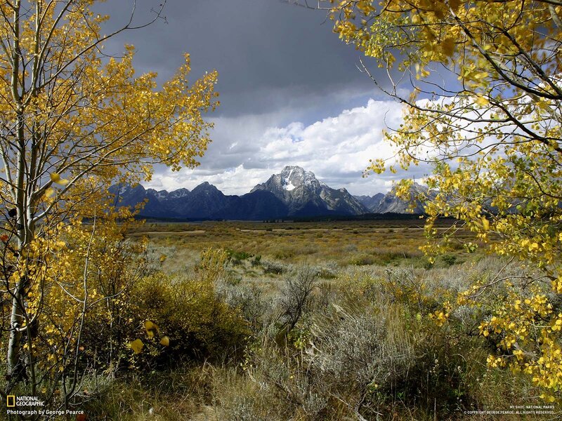Autumn in the Tetons