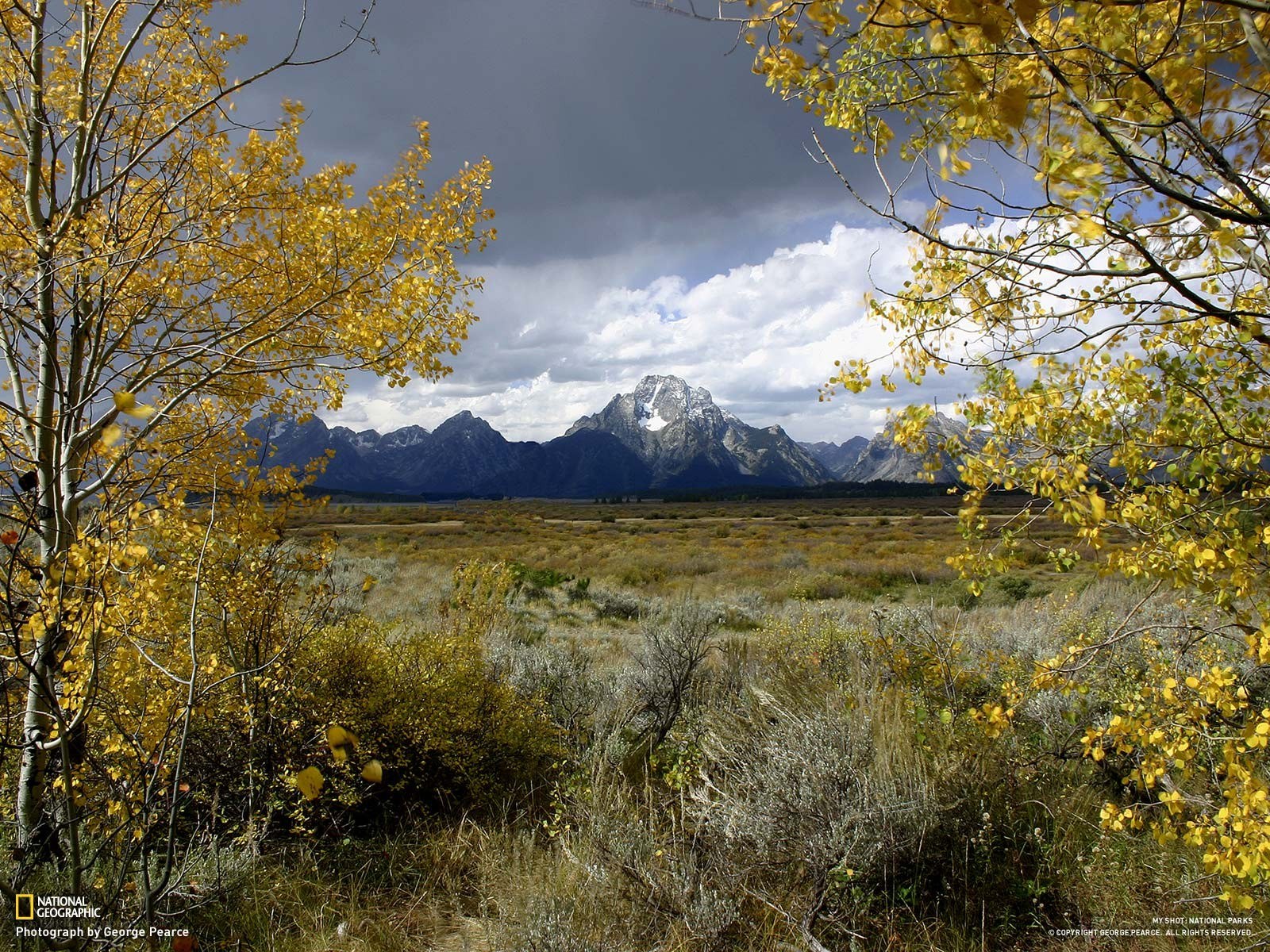 Autumn in the Tetons