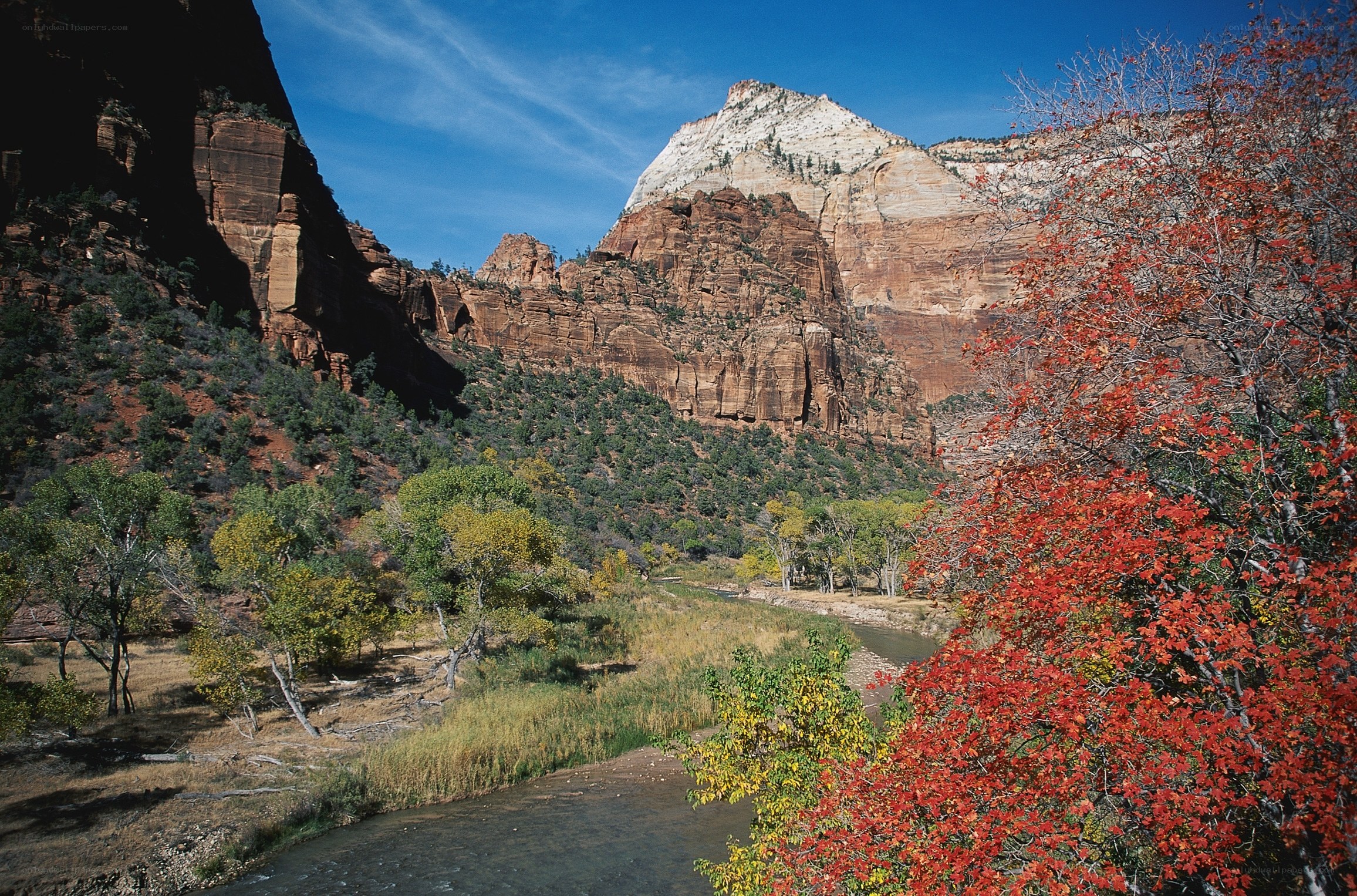 autumn in zion canyon