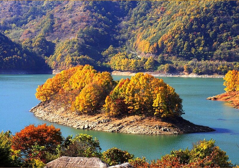 Autumn island in a lake