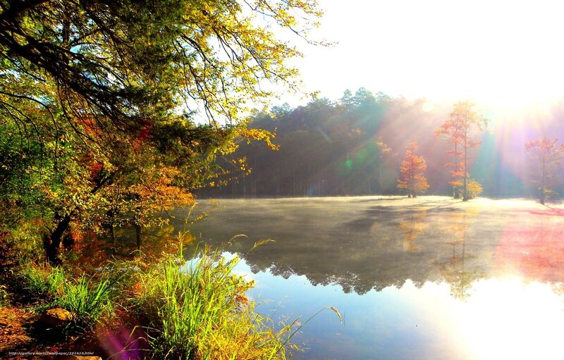 Autumn Lake at Sunrise — Green, Serene