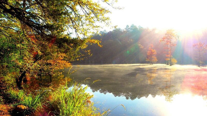 Autumn Lake at Sunrise — Green